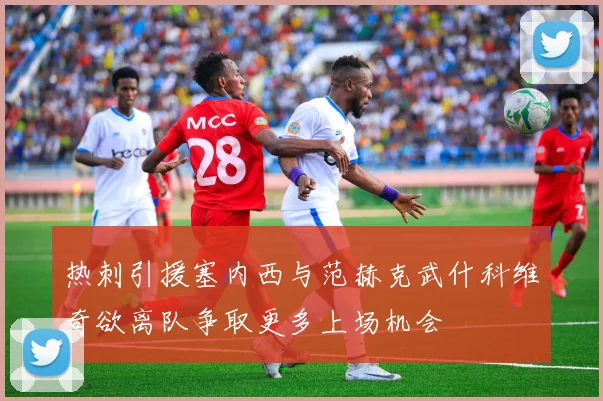 热刺引援塞内西与范赫克武什科维奇欲离队争取更多上场机会