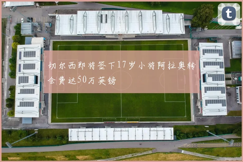 切尔西即将签下17岁小将阿拉奥转会费达50万英镑